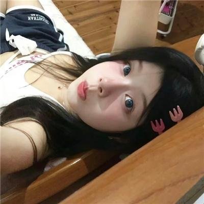 高速路上一只猫